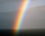 Hawaiian rainbow - Copyright R Konig